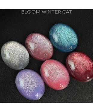 Гель-лак кошачий глаз Bloom Winter cat 01-06, 8 мл. 1 штука