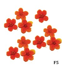 Сухоцветы мелколепестковые в баночке 10 шт. F-5