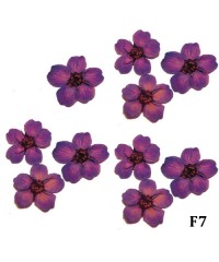 Сухоцветы мелколепестковые в баночке 10 шт. F-7