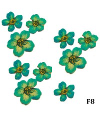 Сухоцветы мелколепестковые в баночке 10 шт. F-8